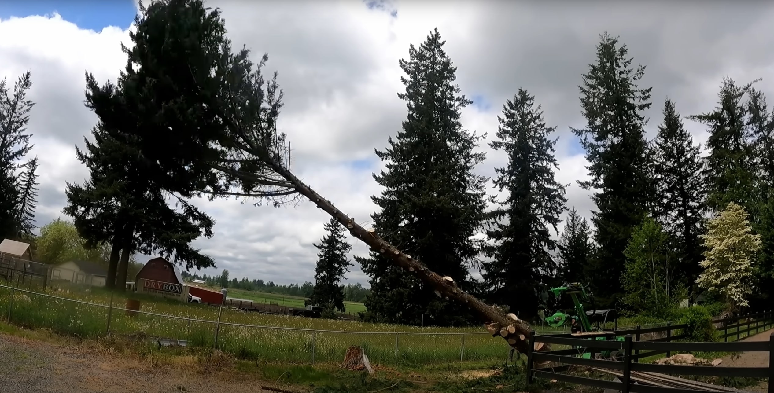 Professional tree removal service with crane in El Centro, CA