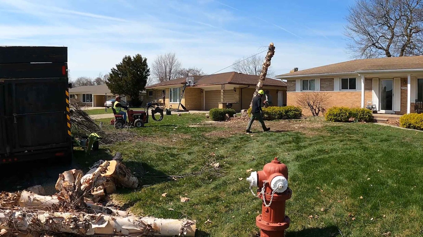 Shrub and hedge trimming service in El Centro, CA