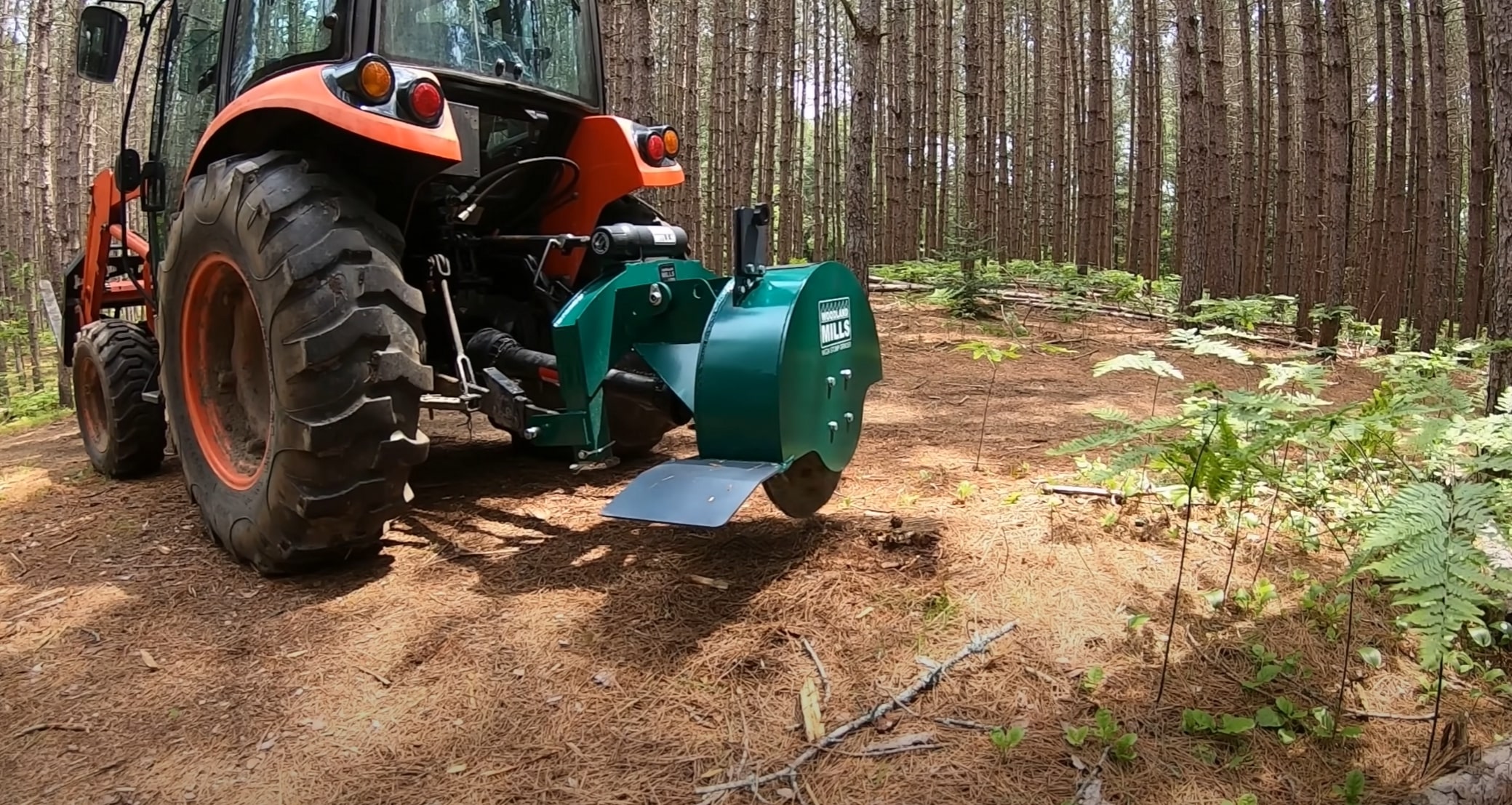 Professional stump grinding equipment removing tree stump in El Centro