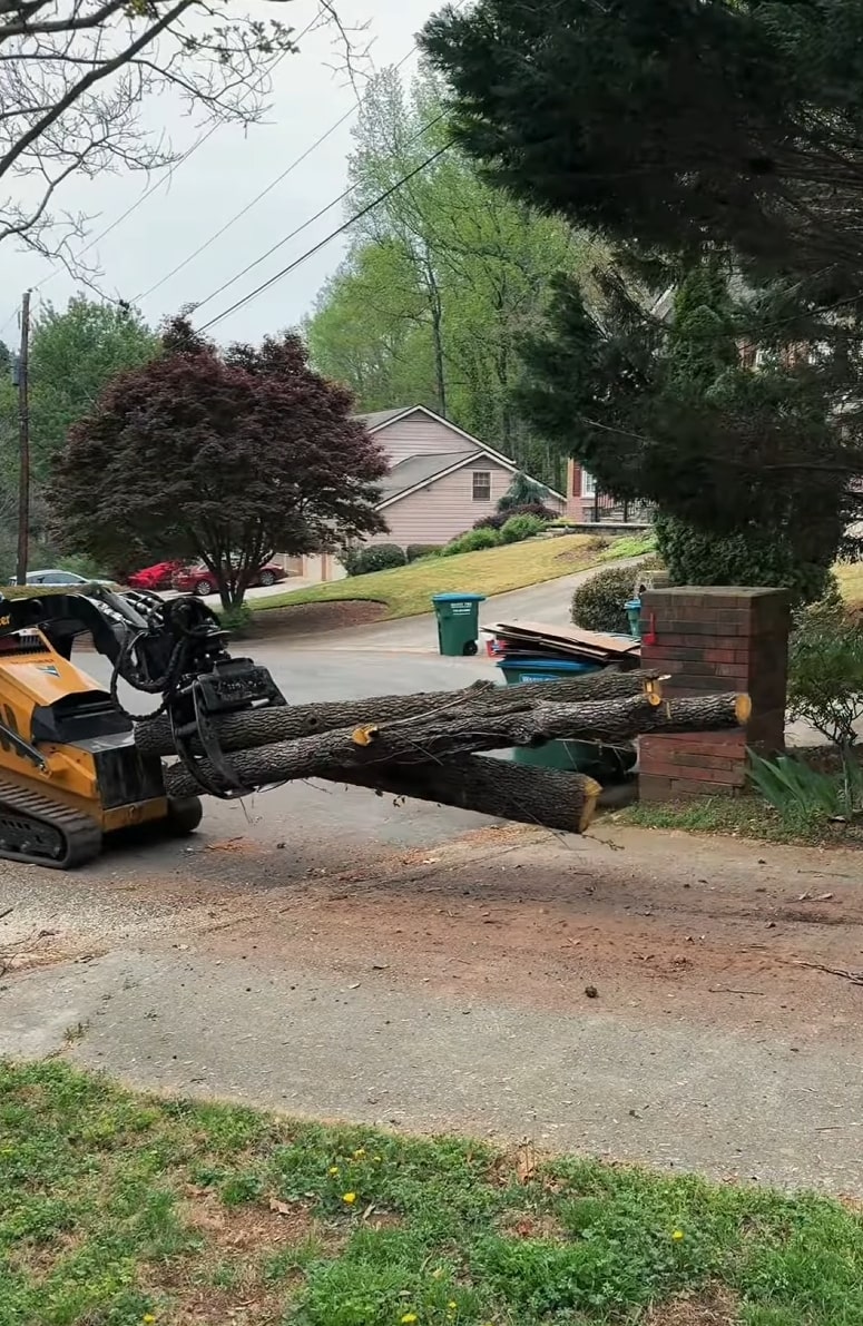 Tree Removal in Westmorland, CA