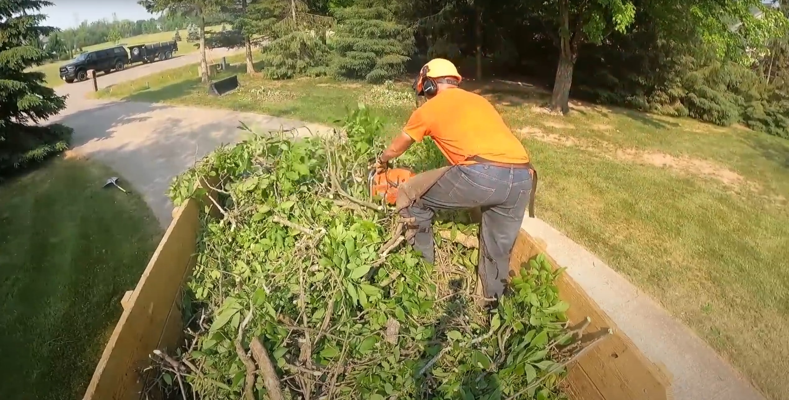Professional shrub and hedge trimming service in El Centro residential yard